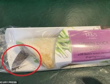 Βρήκε μέσα στο συσκευασμένο σάντουιτς που είχε αγοράσει έναν τεράστιο ζωντανό σκόρο (βίντεο)